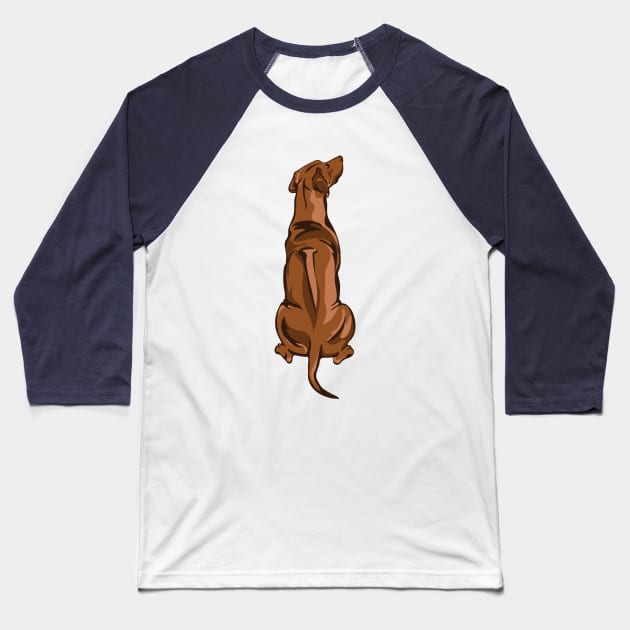 Rhodesian Ridgeback Baseball T-Shirt by DesignBySTARR